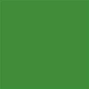 Peinture vert Deutz après 1975 (aérosol 400 ml)