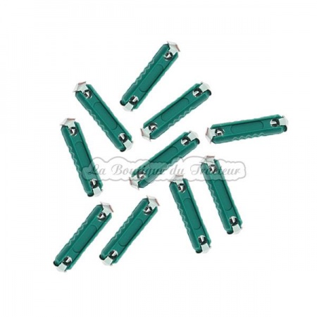 10 Stéatites fuses 10 AMP.