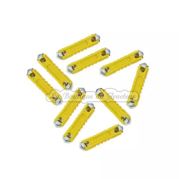 10 St�atites fuses 16 AMP.