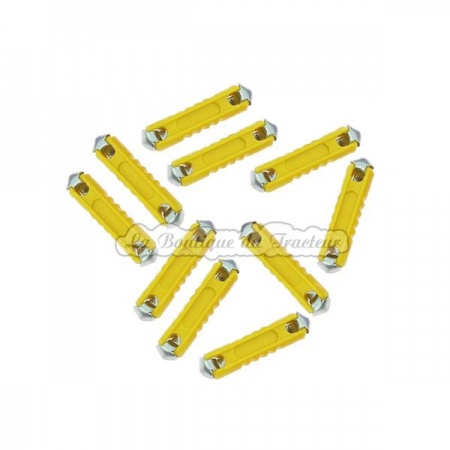 10 Stéatites fuses 16 AMP.