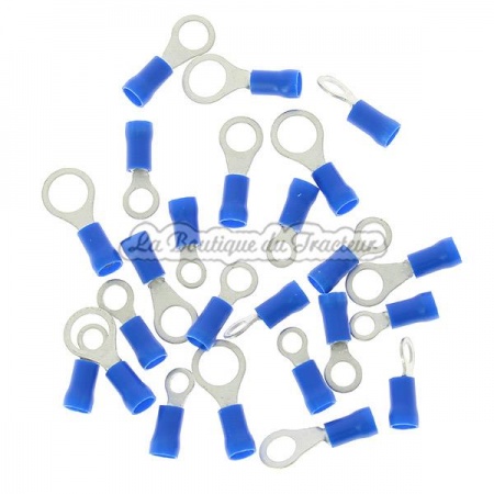 24 assorted blue eye terminals
