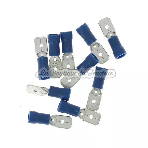 5 terminals double plates male blue