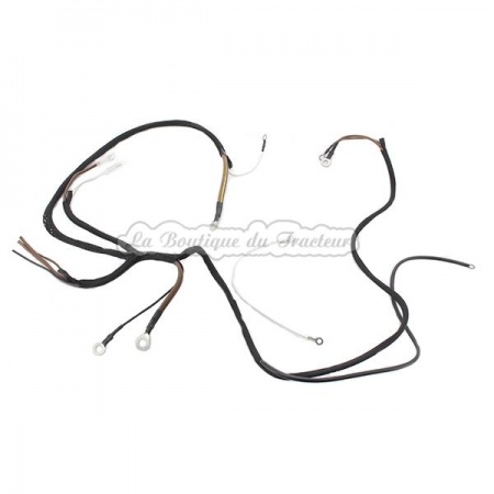 Arnés de cableado TEA20, TED20, FF30GS (OEM: 829700)