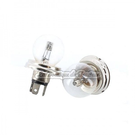 Bombillas codigo european 12V blancas 45/40W