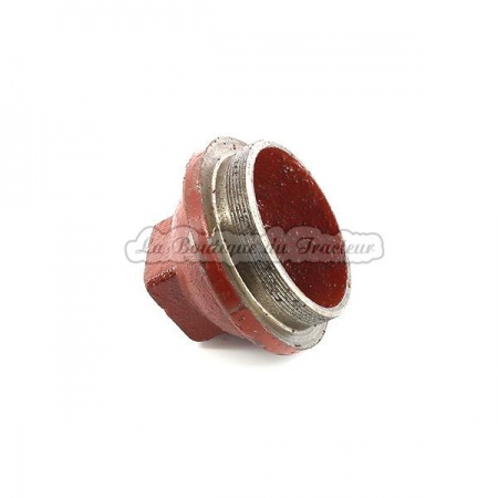 Bouchon de moyeu 1884289 MF 50 mm