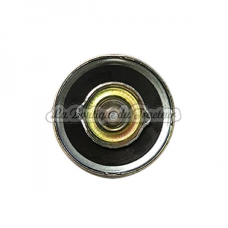 Bouchon de réservoir à carburant FORD (OEM : 81811847)