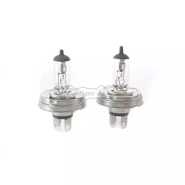 Box 2 lampes H.4 culot C.E. 12V.blanche