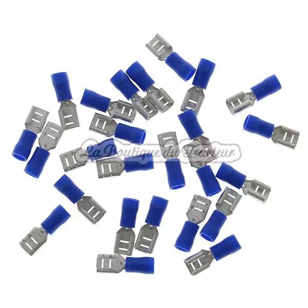 Box 25 cosses plates femelle bleu