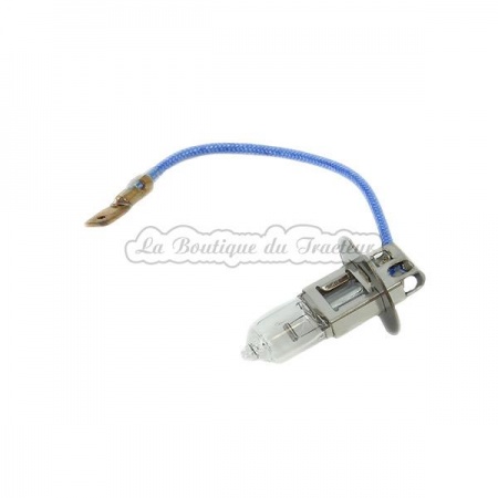 bulb  H3 12V. 55W.