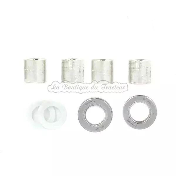 Conjunto de reparacion de manguetas MF65