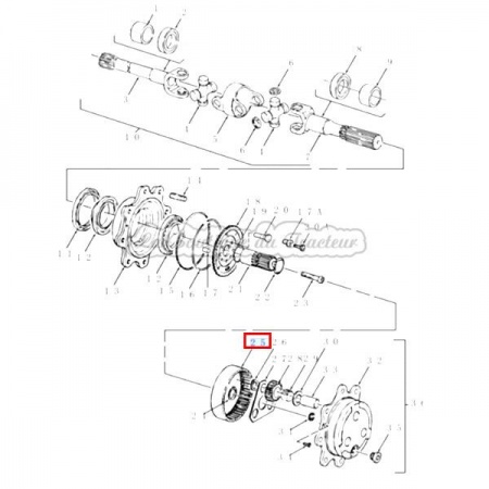 Couronne de pont Carraro Ford 4830 (OEM : CAR125339)