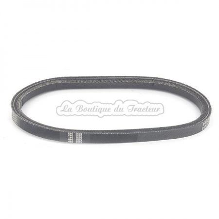 CUB AMERICAIN generator belt