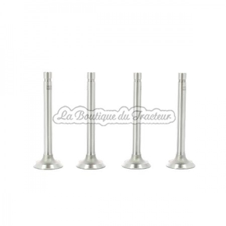 CUB intake valve (x4)
