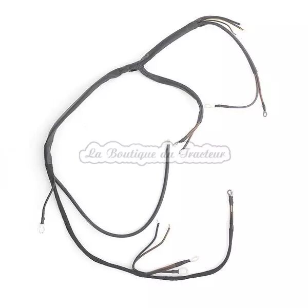 Faisceau �lectrique Ferguson FF30DS, TEF20 (OEM : 821201)