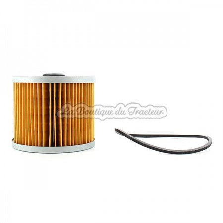 Filtre carburant DB, IHC F270D, MF 35 2436200
