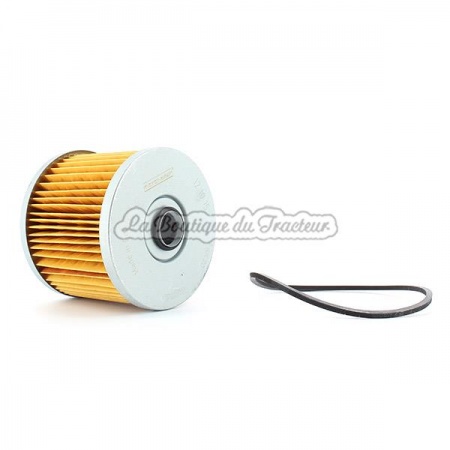 Filtro de combustible DB, IHC F270D, MF 35 2436200