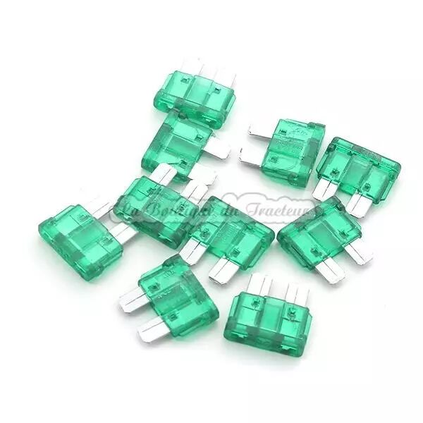 Fusible (x10) 30 AMP.