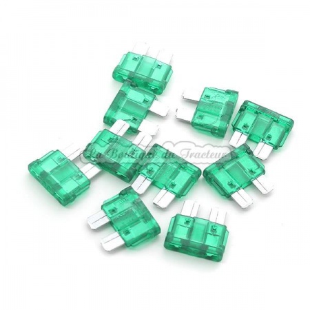 Fusible (x10) 30 AMP.