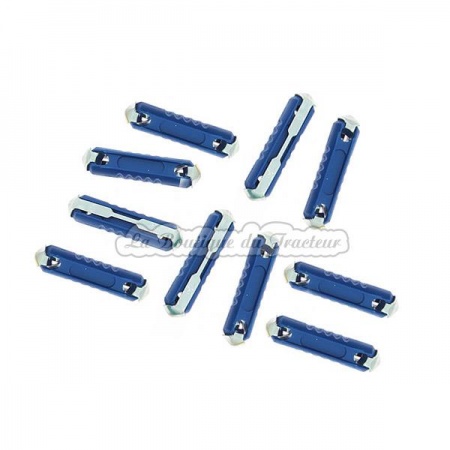 Fusibles (x10) 8 AMP.