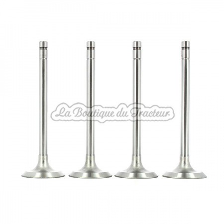 IH M, W6 intake valve set