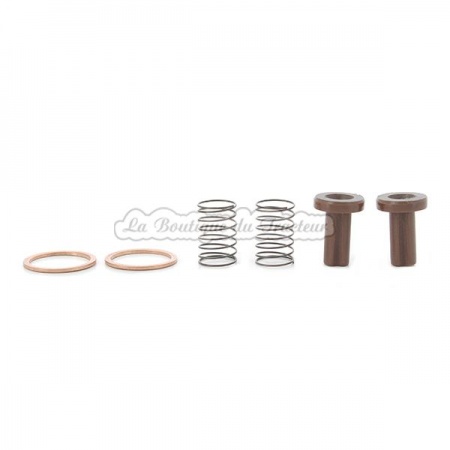 Kit de clapets Celoron de pompe alimentation Renault et Fendt