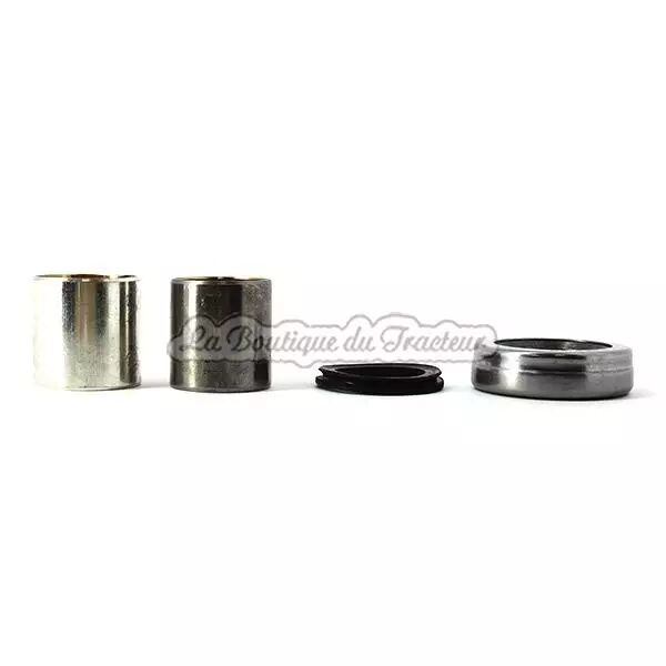 Kit de reparacion de mangueta Ford series 2000, 3000 (OEM: B1256)