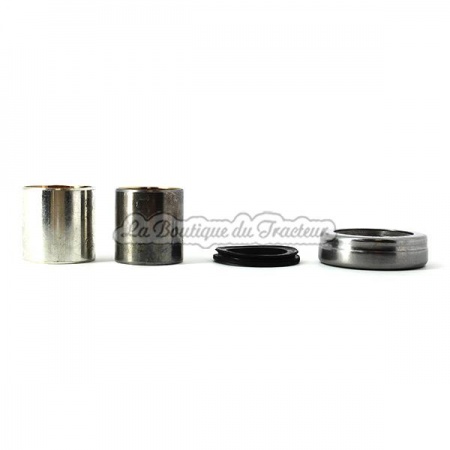 Kit de reparacion de mangueta Ford series 2000, 3000 (OEM: B1256)