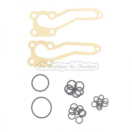 Kit de réparation de pompe hydraulique Massey Ferguson (OEM : 1810684M91)