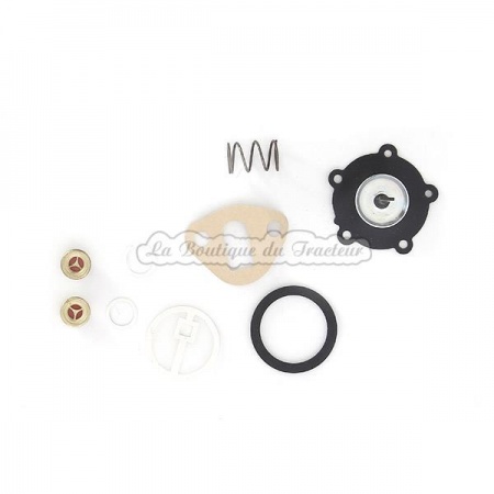 Kit de réparation pompe alimentation MF 135, 140, 145, 148, 154