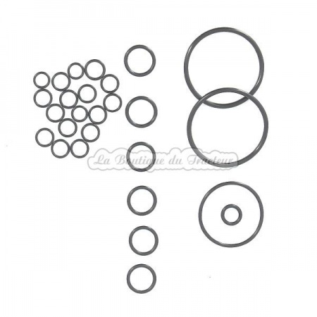 Kit de réparation pompe hydraulique MKI