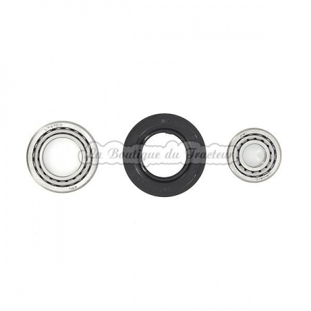 Kit roulement de roue MF 140 (OEM : 1639081M91)