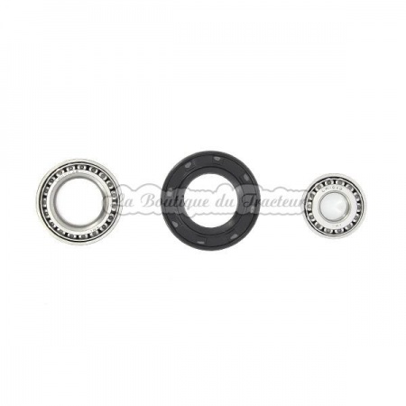 Kit roulement de roue MF 140 (OEM : 1639081M91)