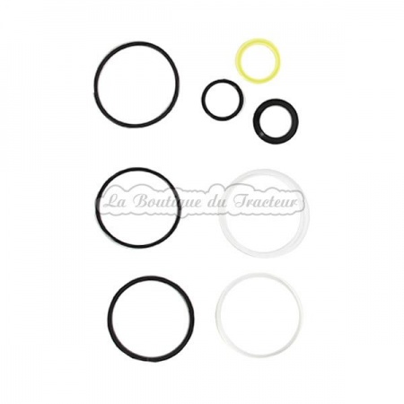 Massey Ferguson 178, 575 power steering hoist seal kit (OEM : 1606890M91)