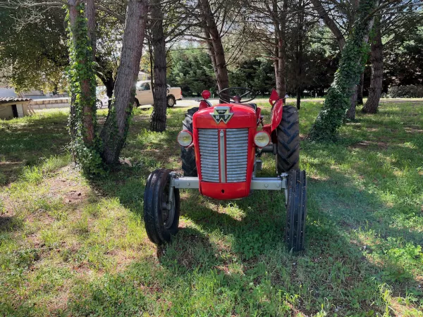 MASSEY-FERGUSON 825