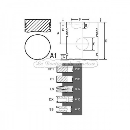 Piston avec segments Perkins A3.144 et A4.192 (OEM: 0630030)