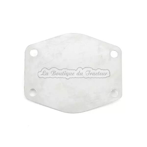 Plaque interm�diaire de pompe � eau 100056