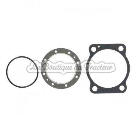 Pochette de joints pour 1 cylindre PONY 820D OEM: 161999903
