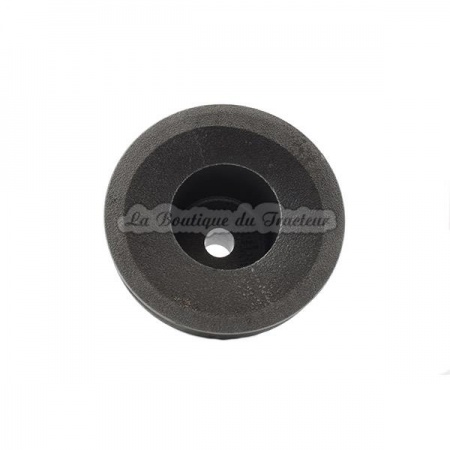 Polea de bomba de agua MF 37, 42, 135, 140 (OEM: 731280M1)