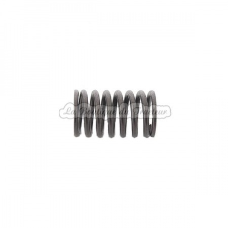 Ressort de soupape SOM55, 615 moteur CO2D (OEM: 8513373)