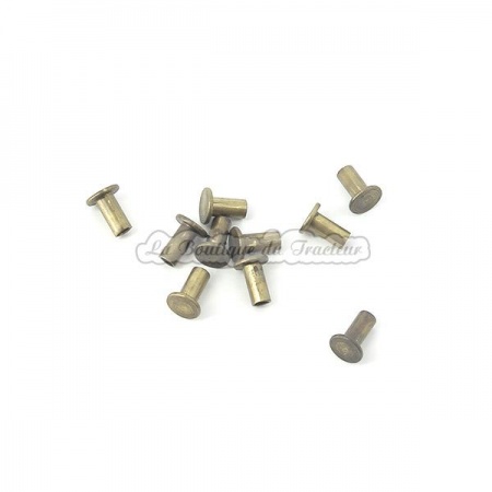 Rivets pour garniture de frein 100974 04x10mm (x10)