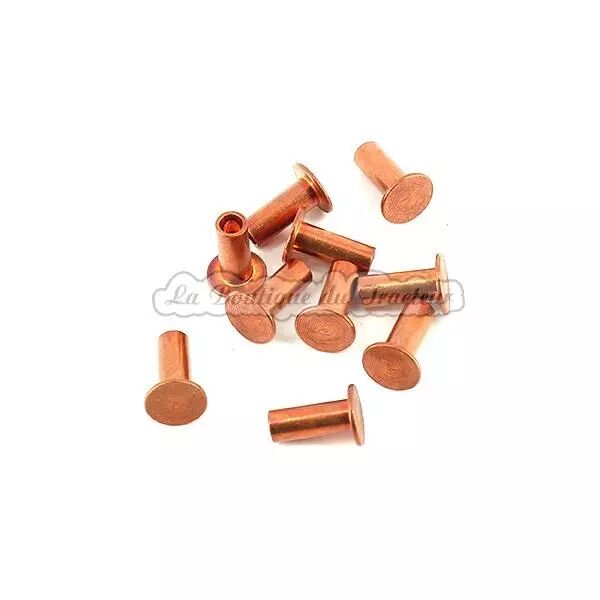Rivets pour garnitures de frein 100273, 100029, 101340 05x12mm (x10)
