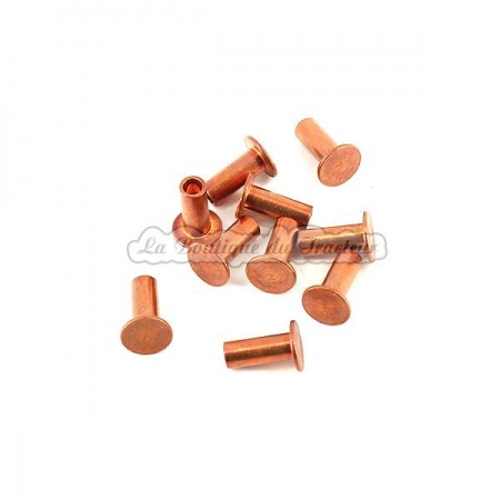 Rivets pour garnitures de frein 100273, 100029, 101340 05x12mm (x10)