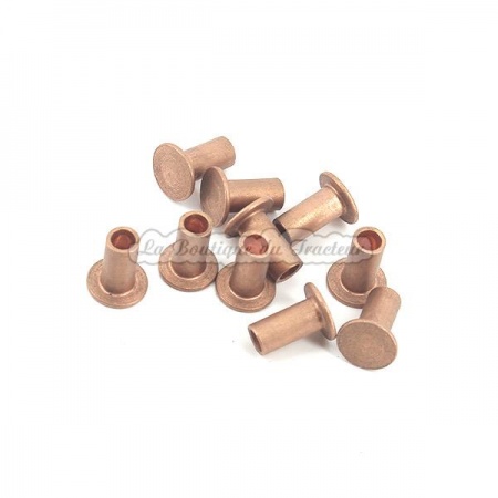 Rivets pour garnitures de frein 100565 05x10mm (x10)