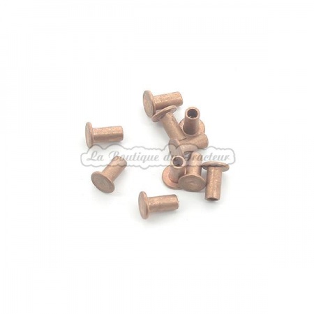 Rivets pour garnitures de frein 101306 04x8mm (x10)