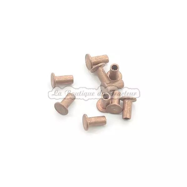 Roblon de freno 101306 04x8mm (x10)