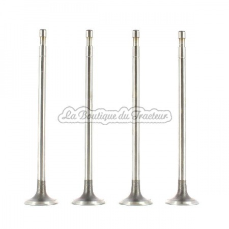 SOM40 mot.CO1D exhaust valve (the 4)
