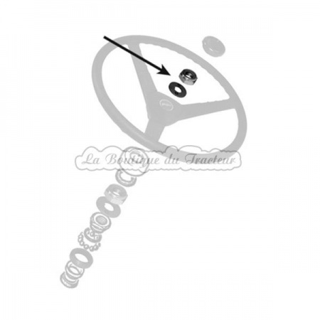 steering wheel nut & washer kit