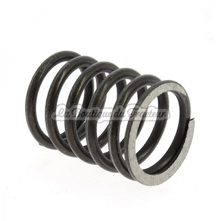 TEA 85mm valve spring
