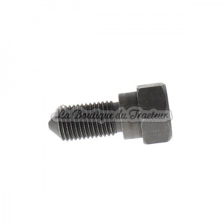 Tornillo de articulacion de capo MF35