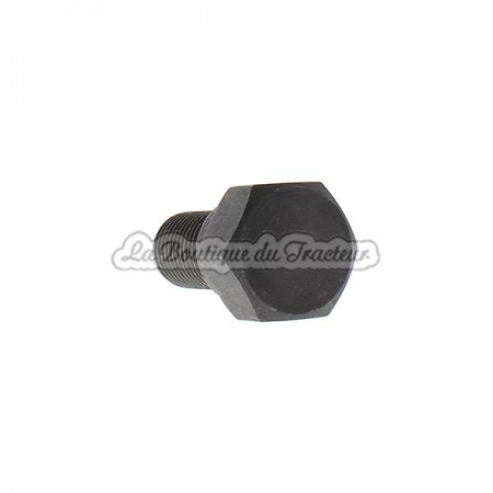 Tornillo de articulacion de capo MF35